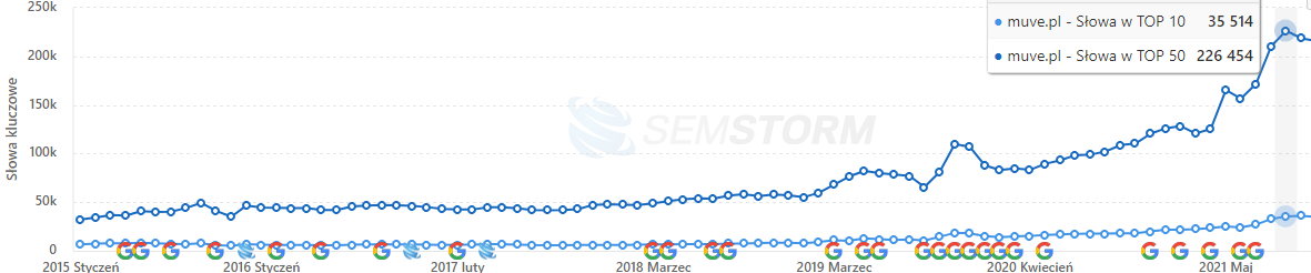 seo case study muvepl